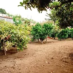 La Chamusca