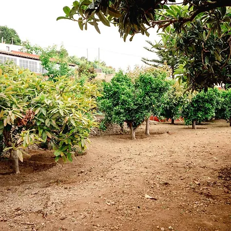 La Chamusca