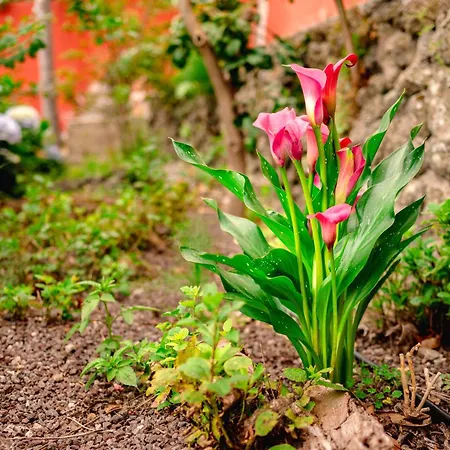 La Chamusca Hébergement de vacances *