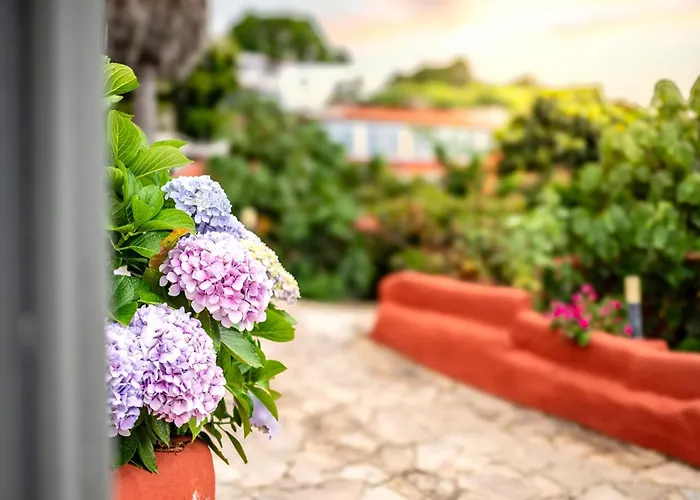 別荘 La Chamusca イコー・デ・ロス・ビノス