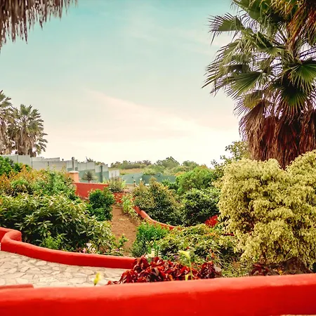 La Chamusca 伊科德·德·洛斯·维诺斯